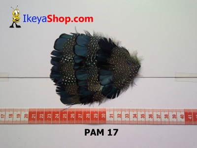 bulu PAD motif PAM 17   feather  large2